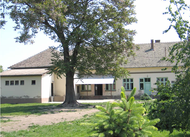Osnovna skola